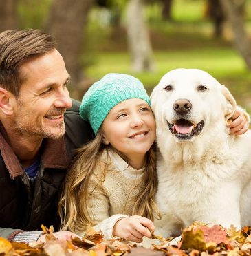 Top tips for autumnal camping in Cornwall