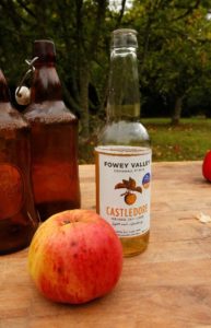 bottle of cider next to an apple