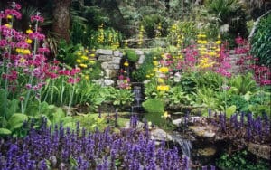 Colourful flowers surrounding a pond