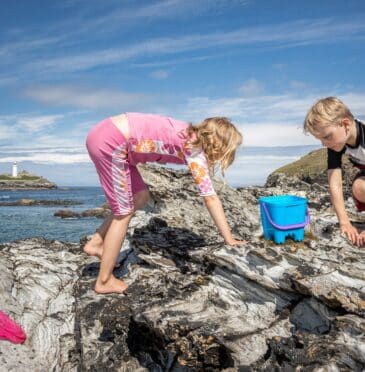 A guide to rockpooling in Cornwall