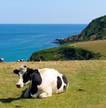 Rural activities and attractions in Cornwall