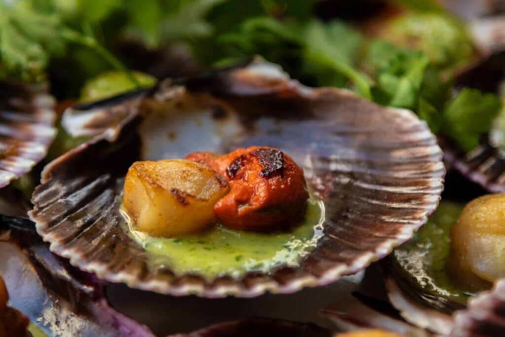 Grilled scallops in a shell