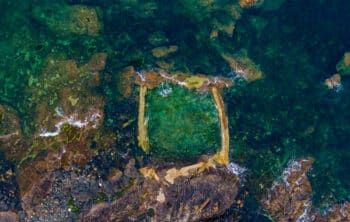 The best tidal pools in Cornwall